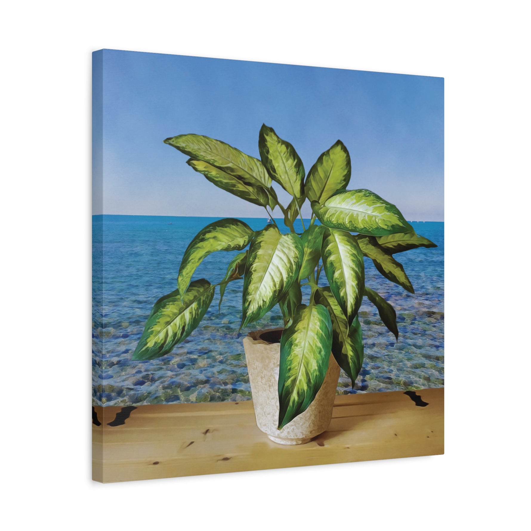 Stretched Matte Canvas - Dieffenbachia plant and Sea Landscape