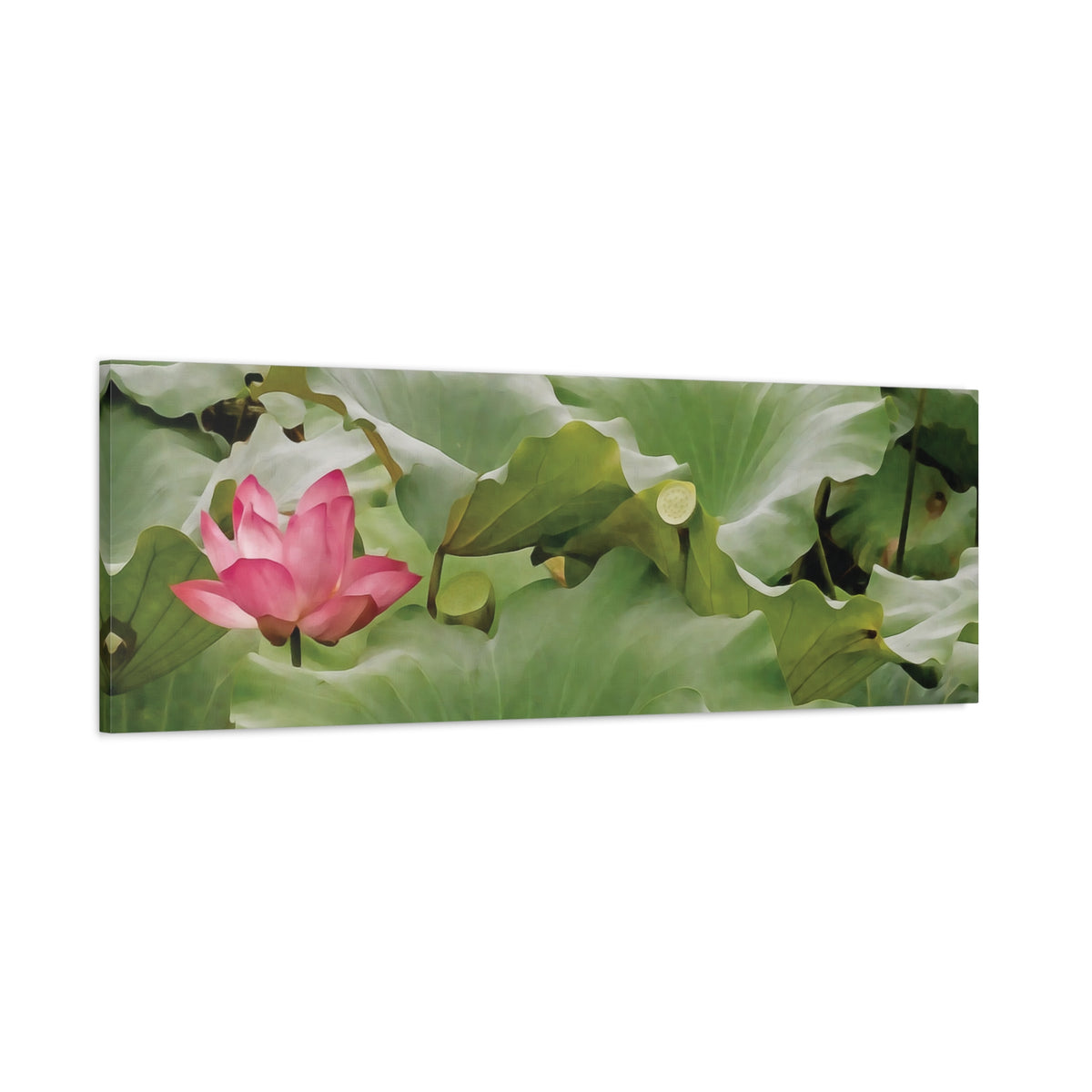 Stretched Matte Canvas - Flower of Lotus