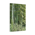 Stretched Matte Canvas - Bamboo (Variant 1)