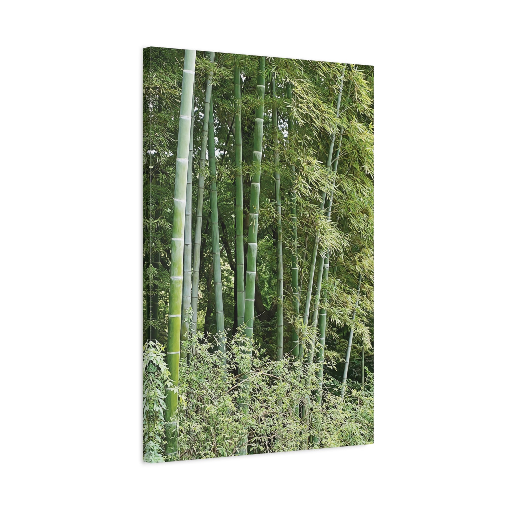 Stretched Matte Canvas - Bamboo (Variant 1)