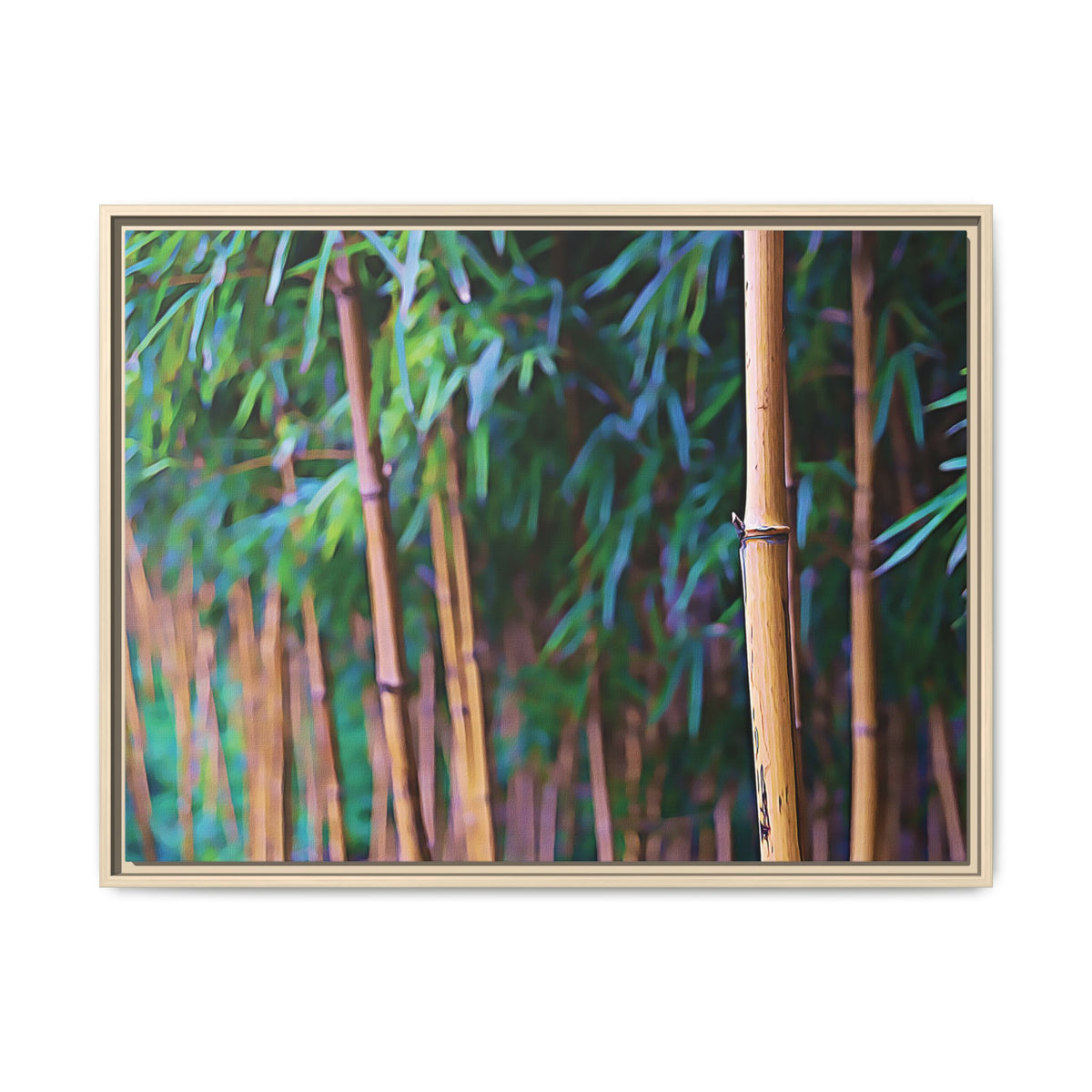 Bamboo | Framed Canvas