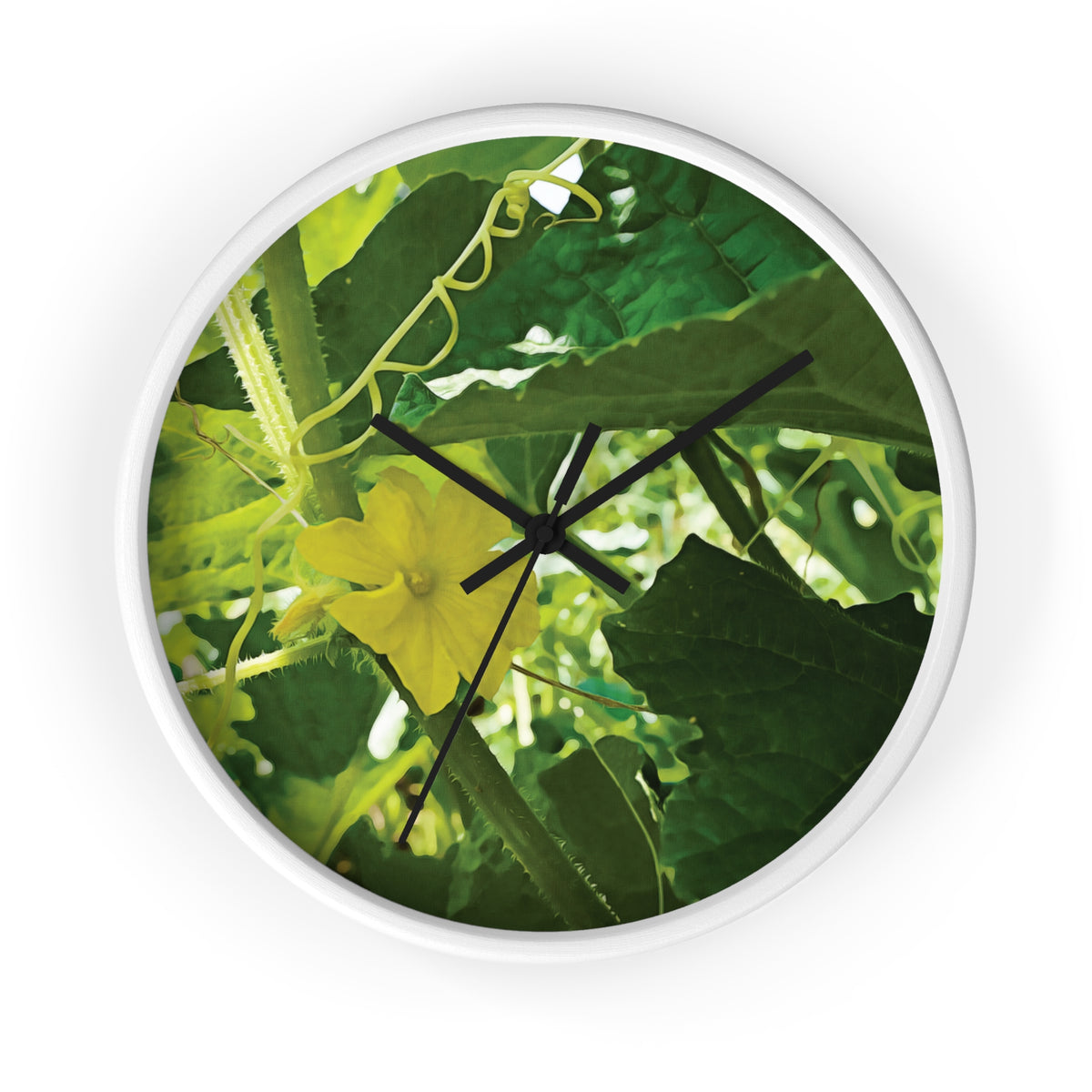 Wall Clock - Flower of Cucumber