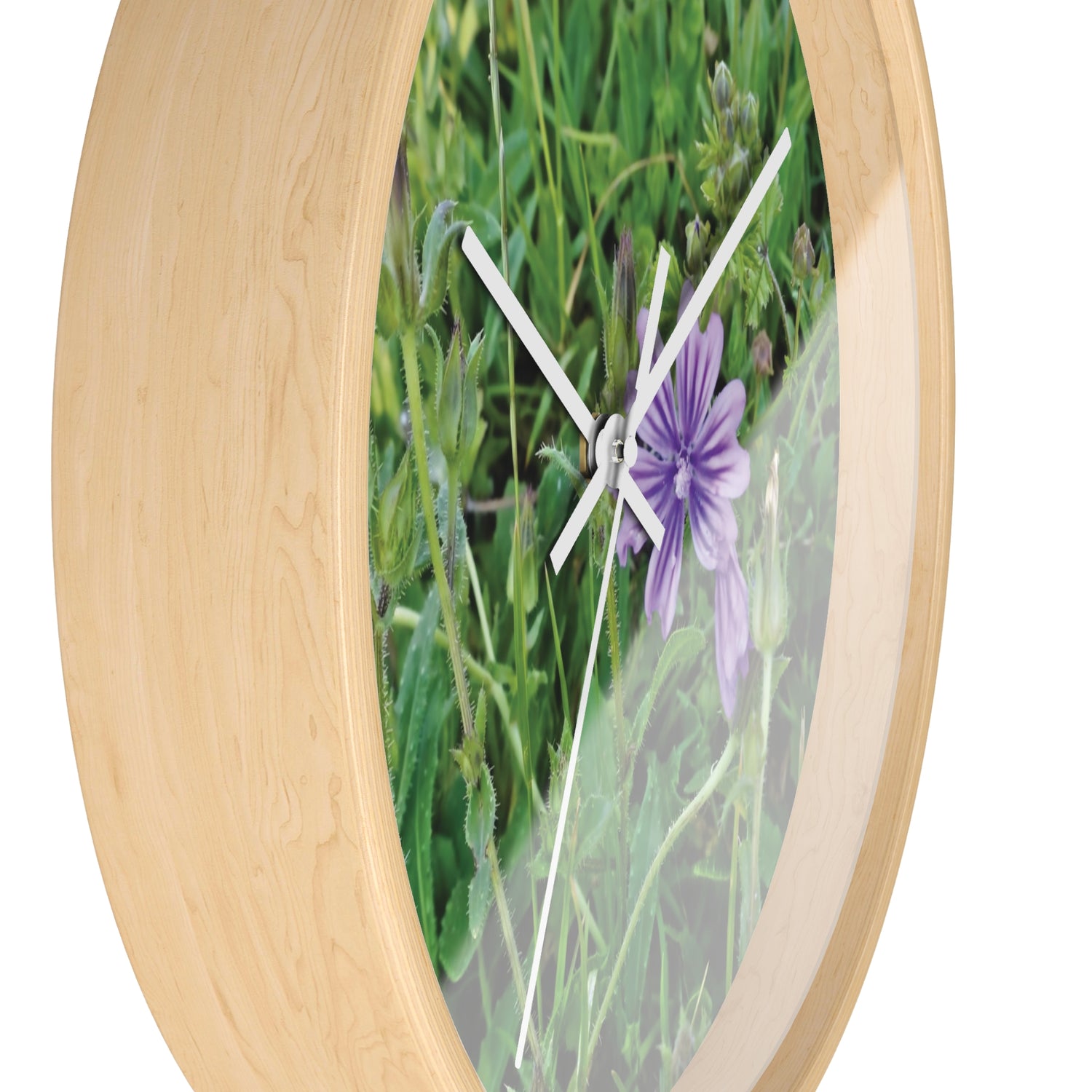 Wall Clock - Flower of Malva Sylvestris