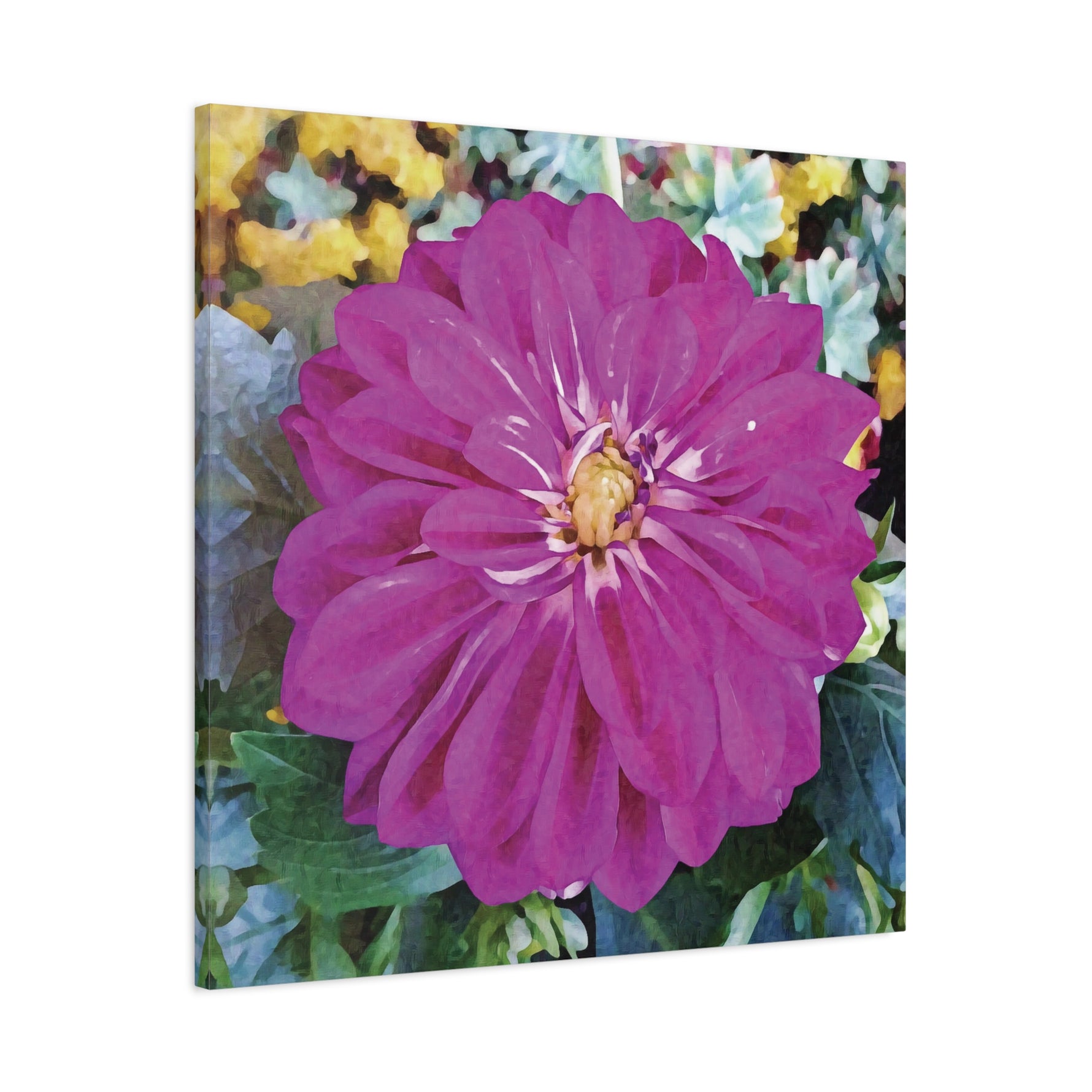 Stretched Matte Canvas - Flower of Dahlia