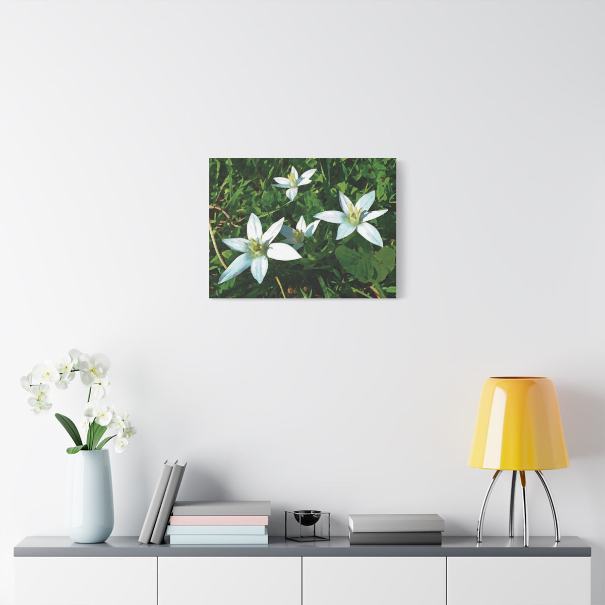 Stretched Matte Canvas - Flower of Ornithogalum