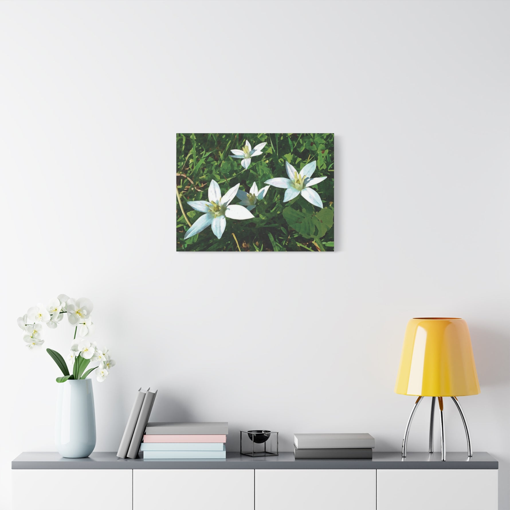 Stretched Matte Canvas - Flower of Ornithogalum