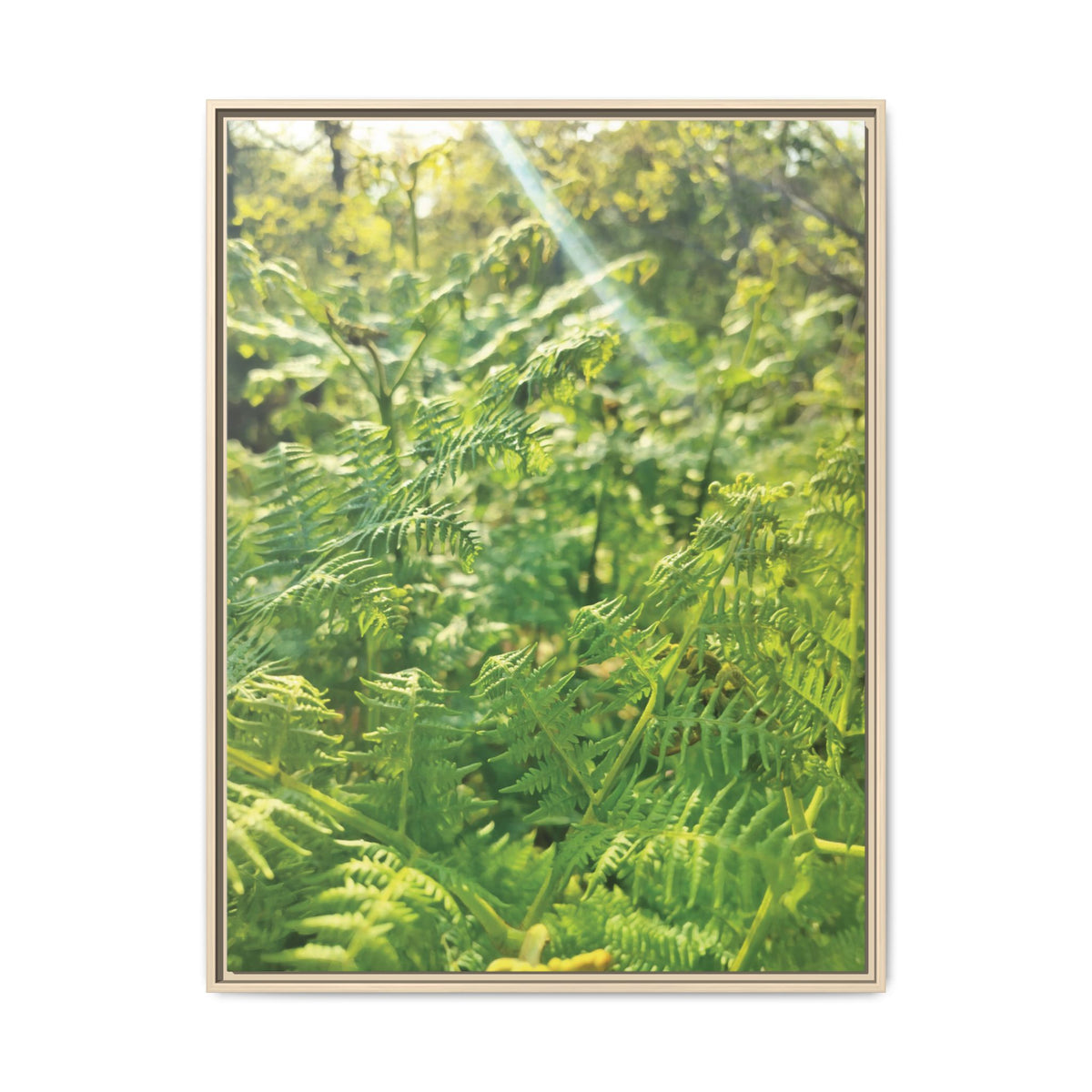 Felce Aquilina (Pteridium Aquilinum) | Framed Canvas