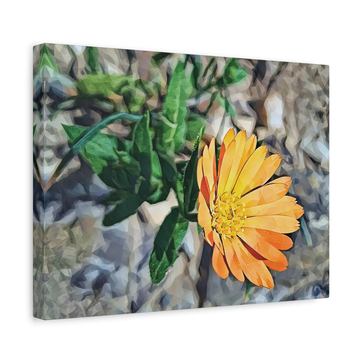 Stretched Matte Canvas - Poly Art - Flower of Calendula (Variant 2)