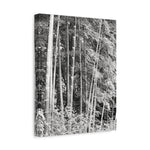 Stretched Matte Canvas - Bamboo (B&W variant)