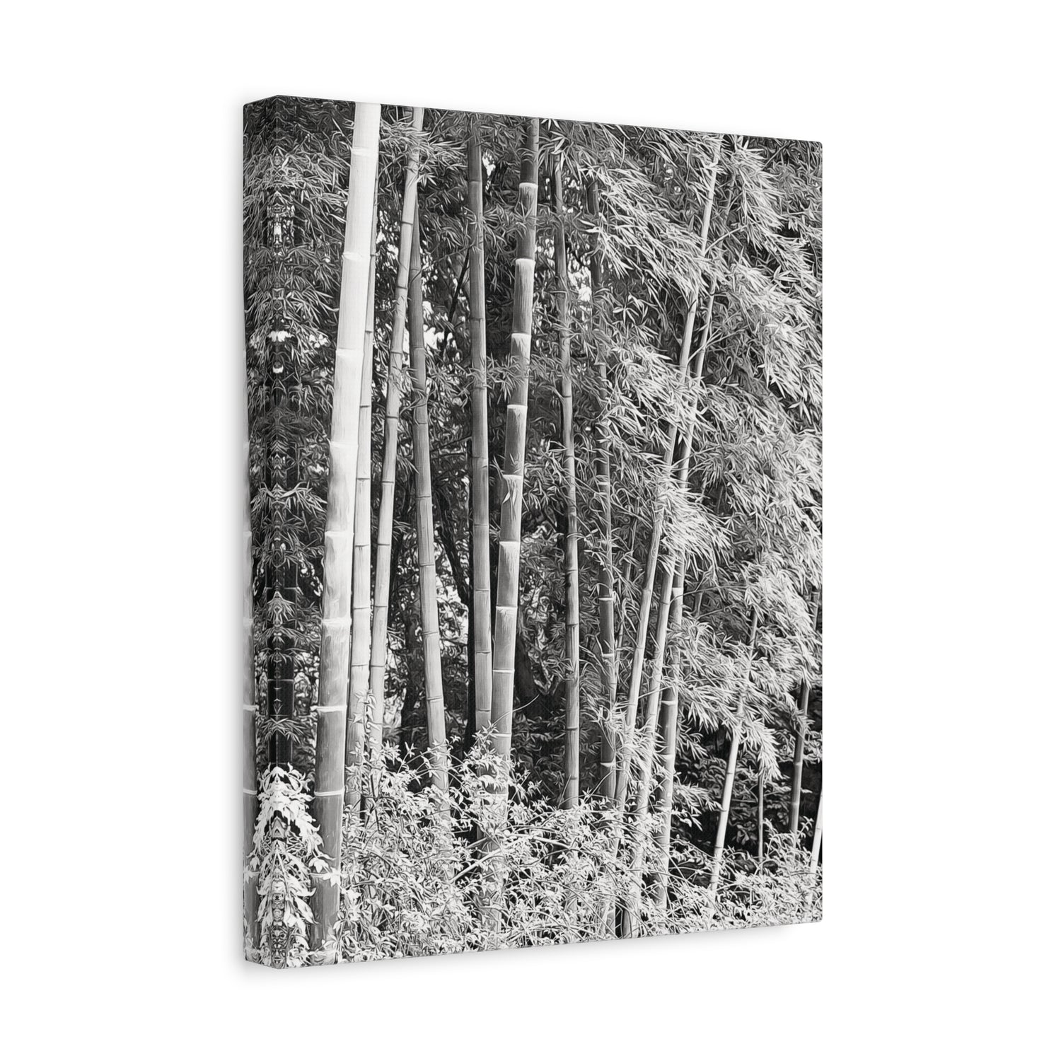 Stretched Matte Canvas - Bamboo (B&W variant)