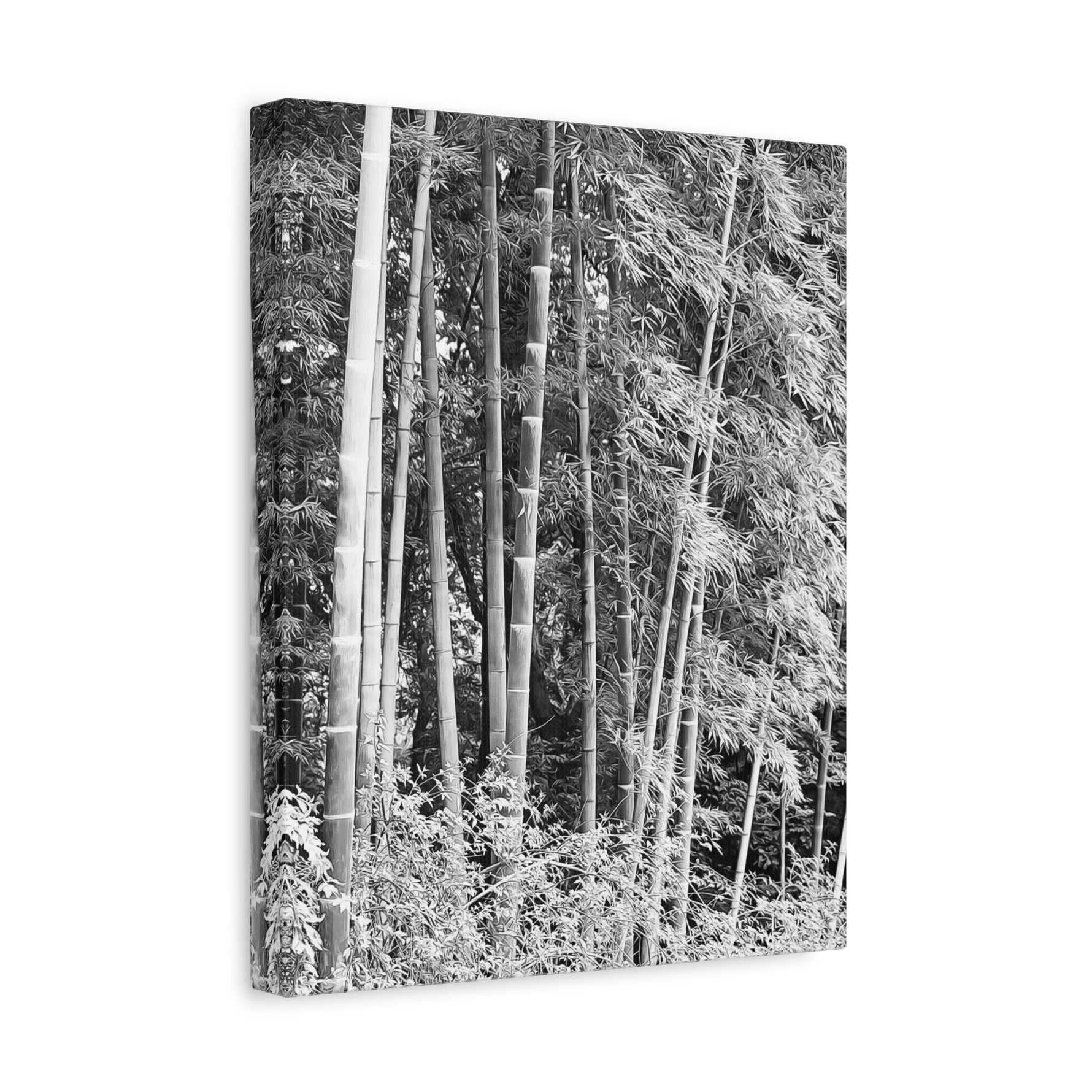 Stretched Matte Canvas - Bamboo (B&W variant)