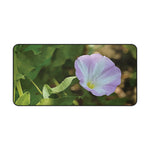 Desk Mat - Flower of Convolvulus Arvensis/Vilucchio