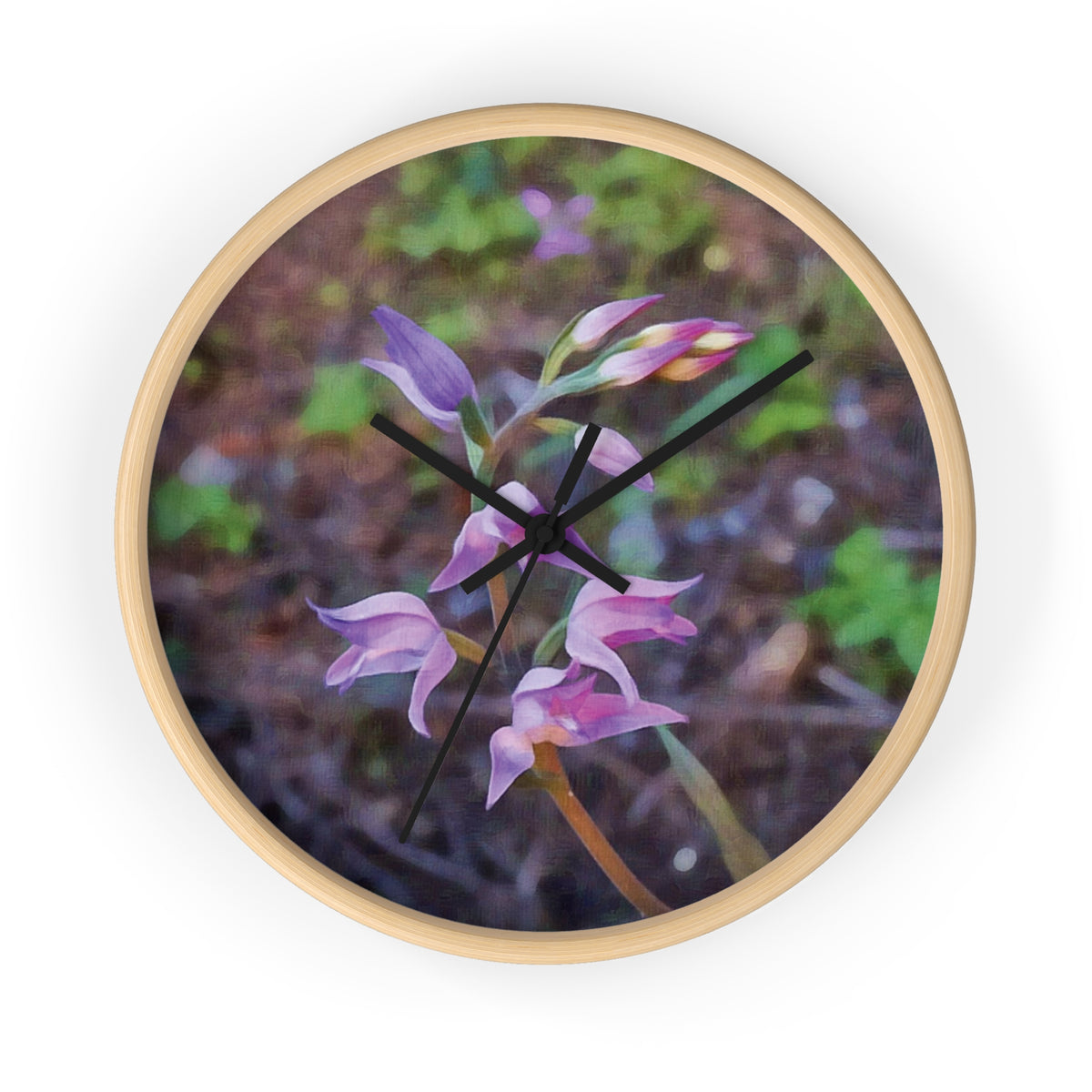 Wall Clock - Flower of Cephalanthera Rubra