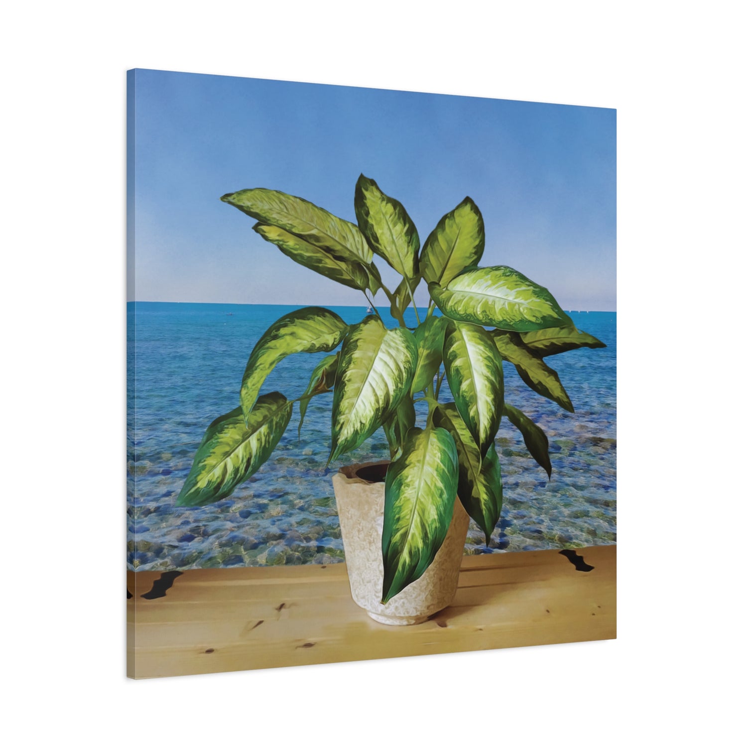 Stretched Matte Canvas - Dieffenbachia plant and Sea Landscape