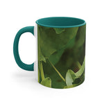 Mug 11oz - Flower of Convolvulus Arvensis/Vilucchio