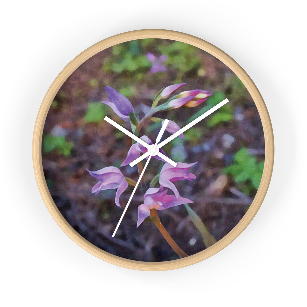 Wall Clock - Flower of Cephalanthera Rubra