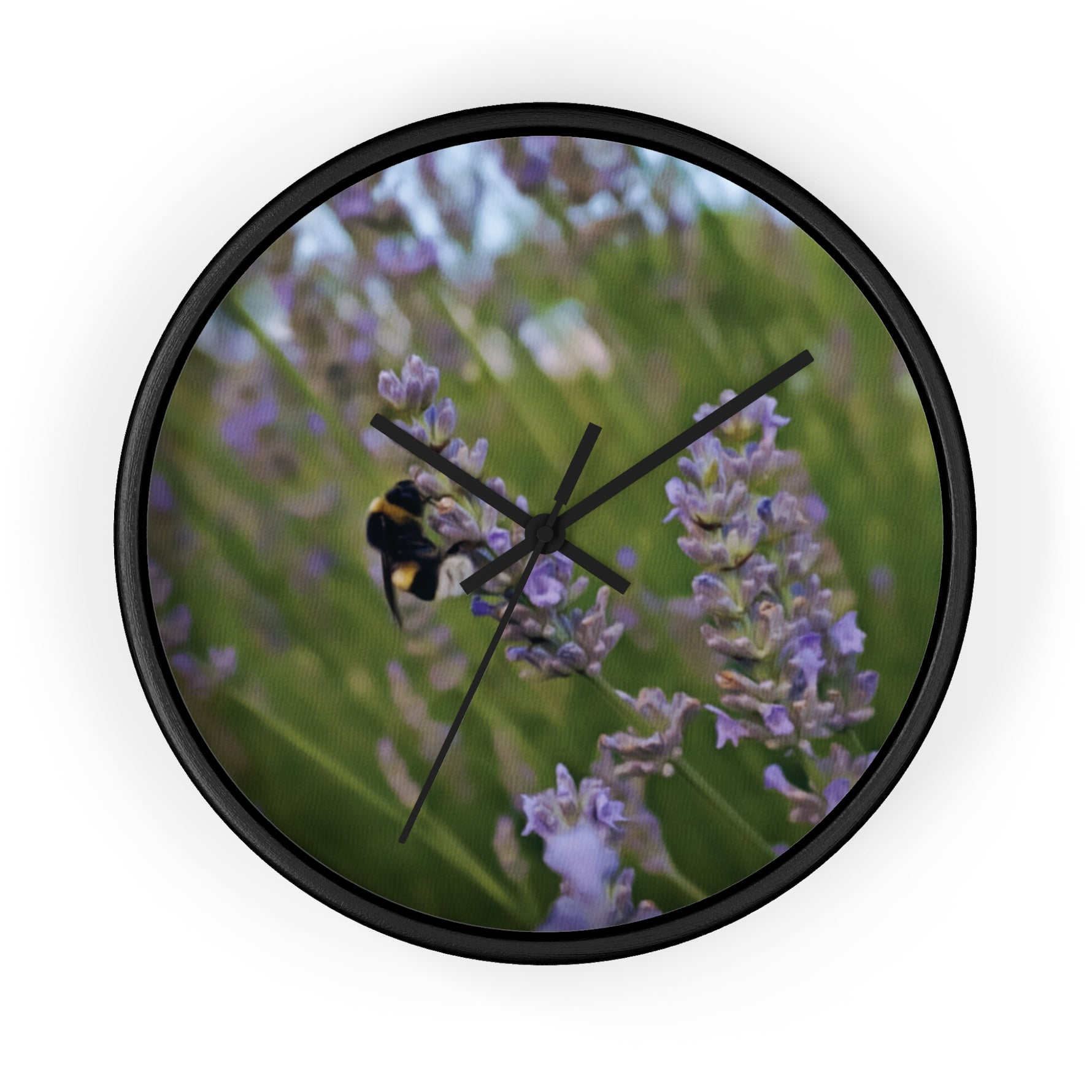 Wall Clock - Flower of Lavender with Bombus Insect (Variant 2)