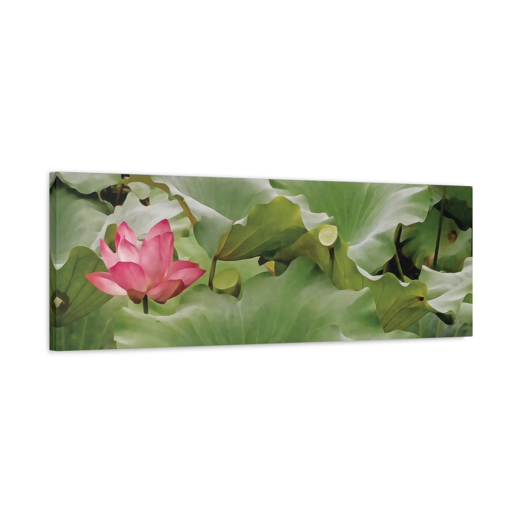 Stretched Matte Canvas - Flower of Lotus