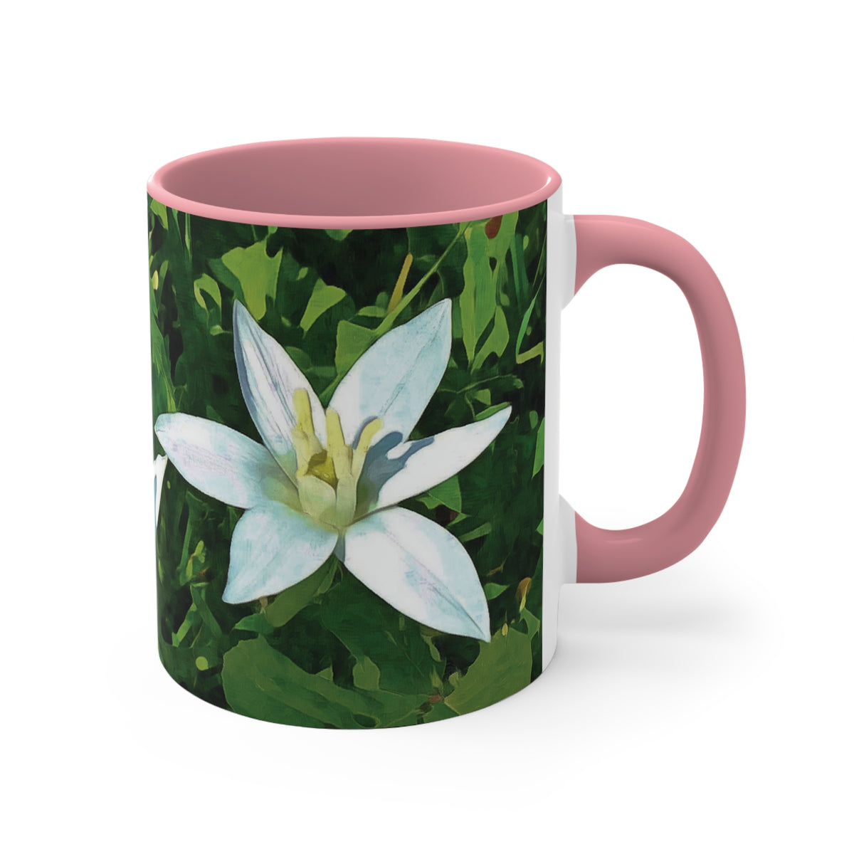 Mug 11oz - Flower of Ornithogalum
