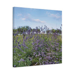 Stretched Matte Canvas - Flower of Lavender (Variant 1)