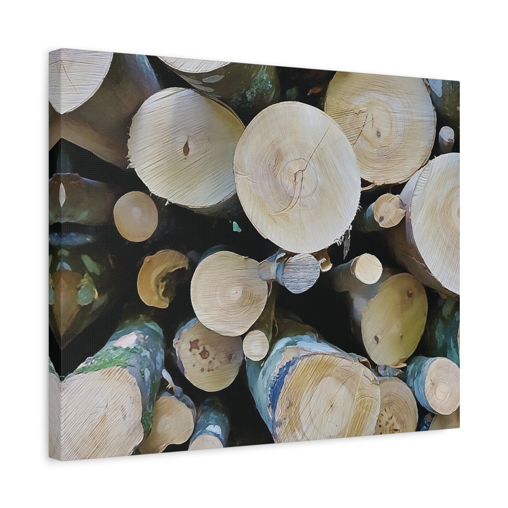 Stretched Matte Canvas - Wooden Trunks (Variant 1)