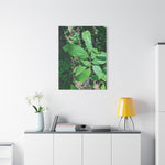 Stretched Matte Canvas - Castanea Tree Leaves