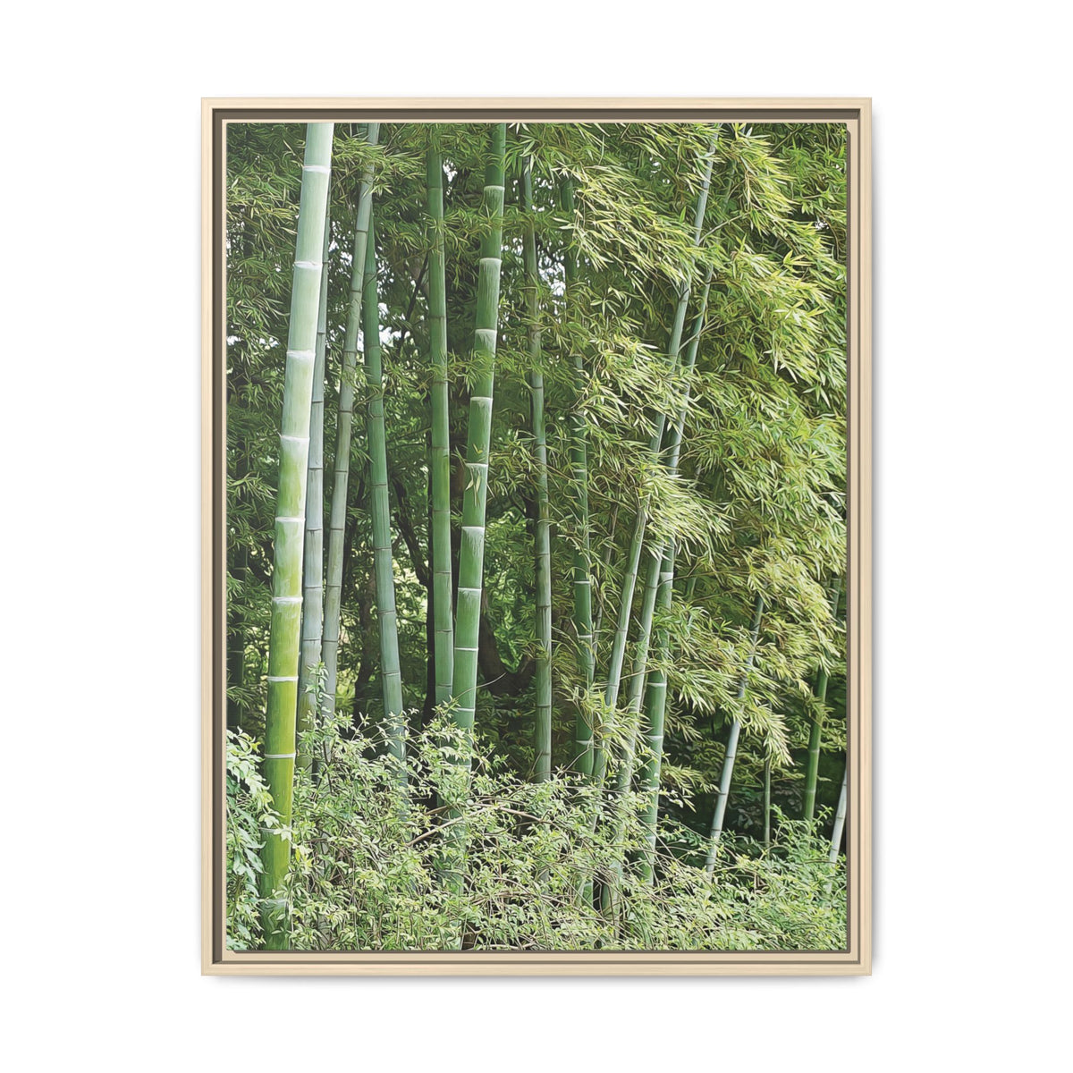 Green Bamboo | Framed Canvas