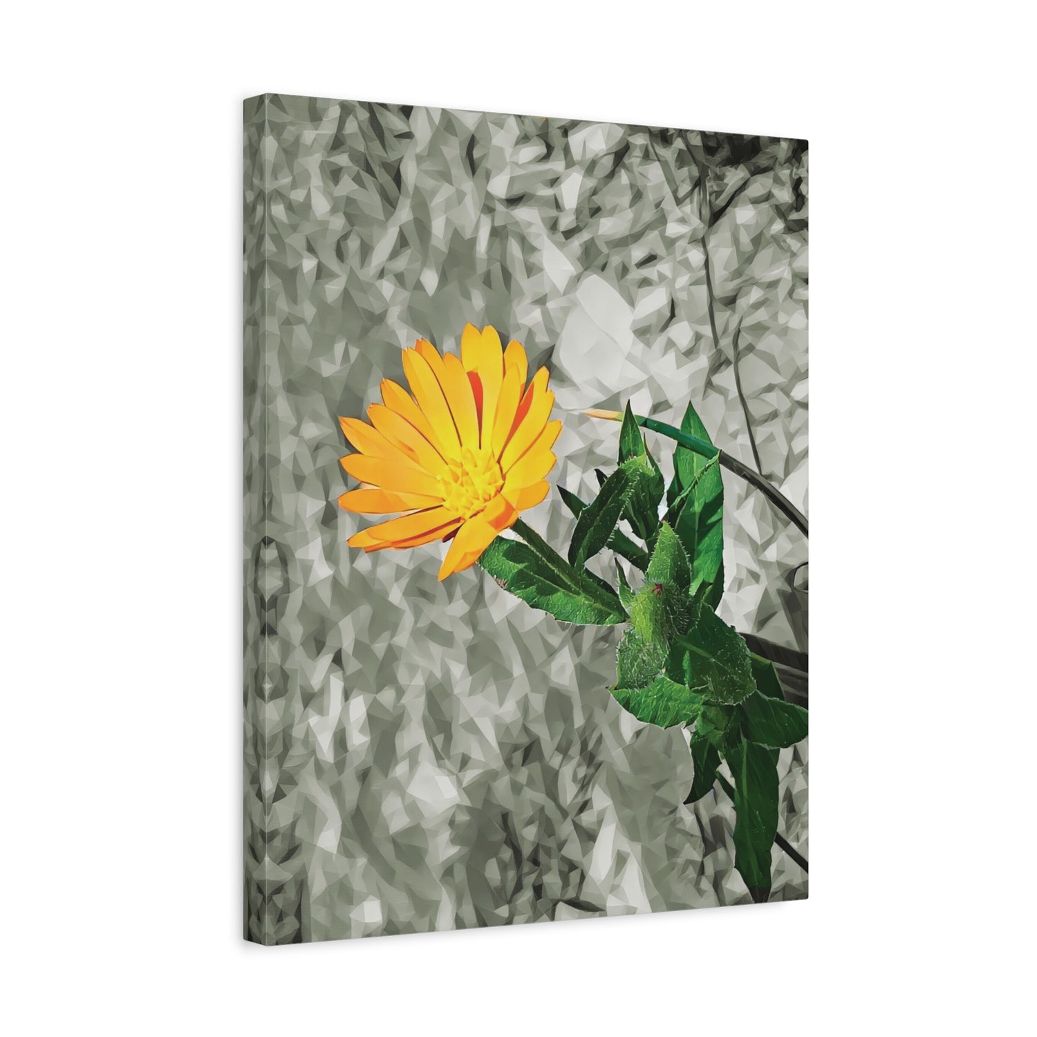 Stretched Matte Canvas - Poly Art - Flower of Calendula (Variant 1)