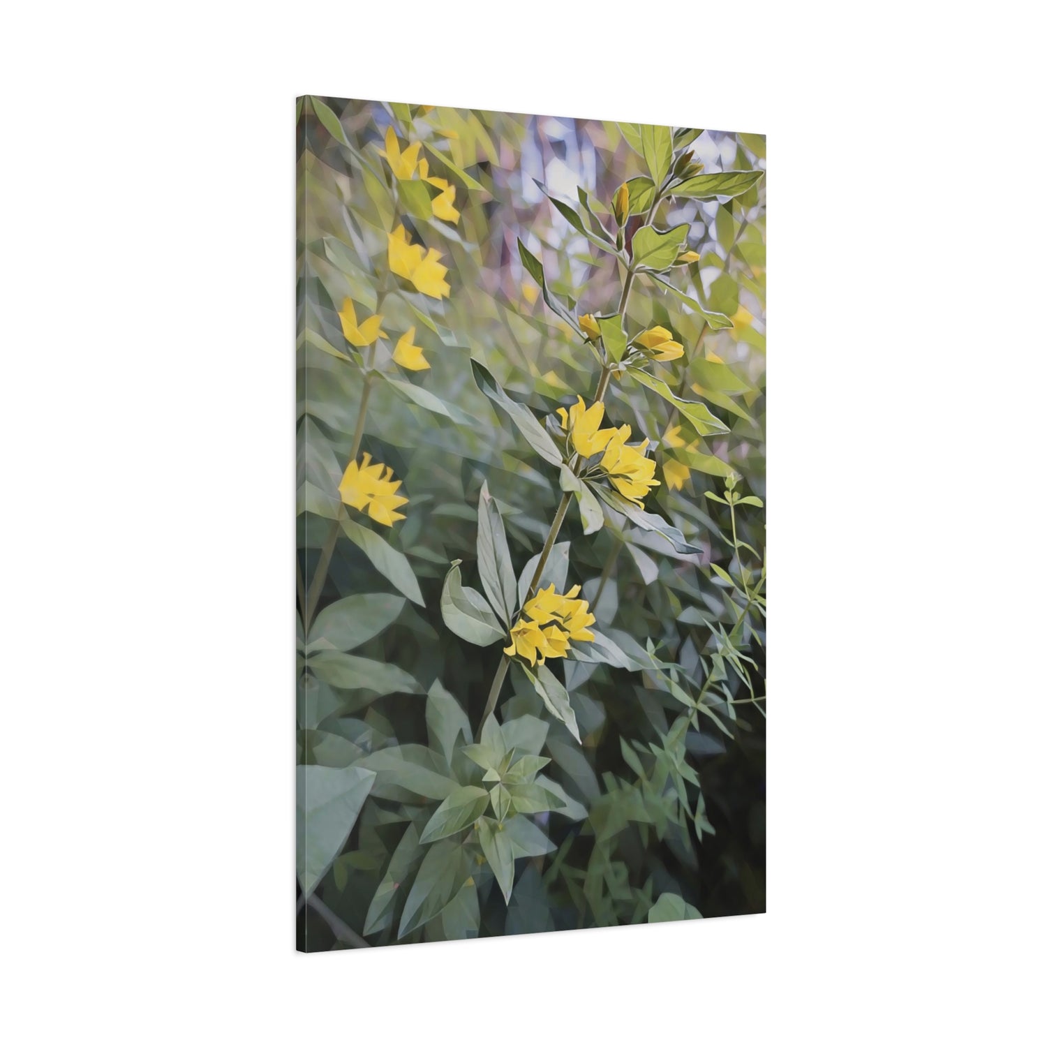 Stretched Matte Canvas - Poly Art - Flower of Lysimachia