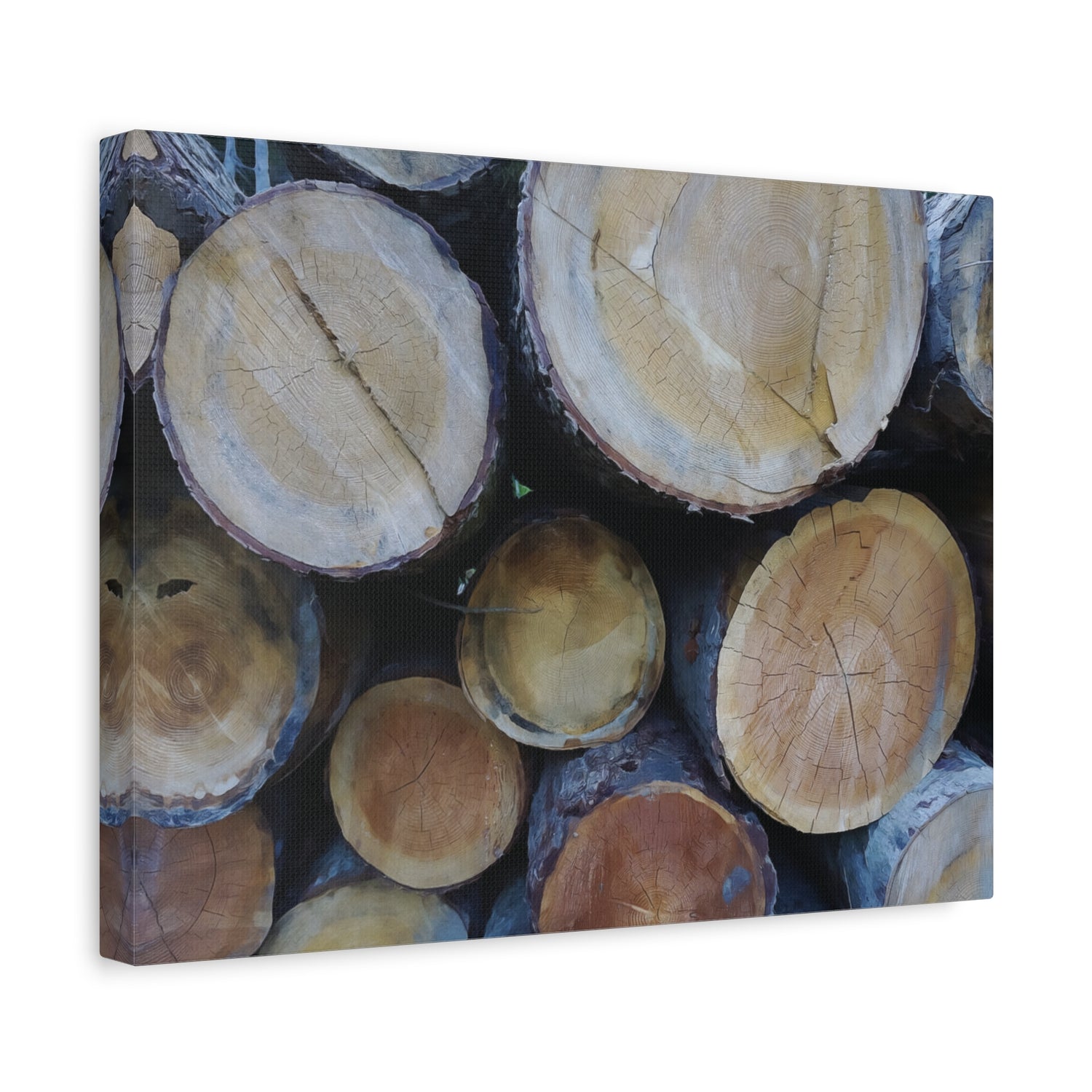 Stretched Matte Canvas - Wooden Trunks (Variant 2)