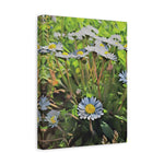 Stretched Matte Canvas - Poly Art - Flower of Daisies (Variant 1)