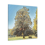 Stretched Matte Canvas - Poly Art - Tree in a lawn (Variant 1)