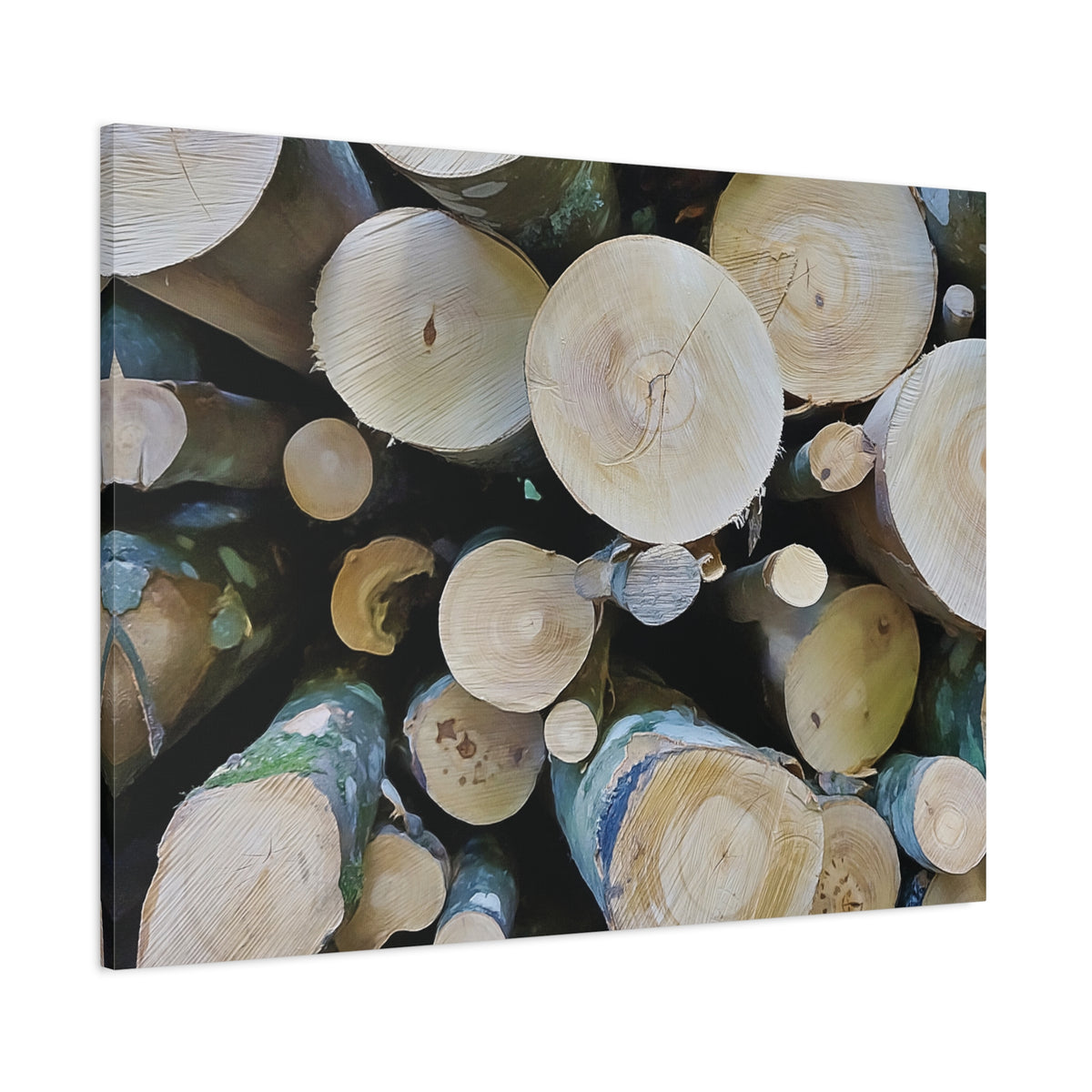 Stretched Matte Canvas - Wooden Trunks (Variant 1)