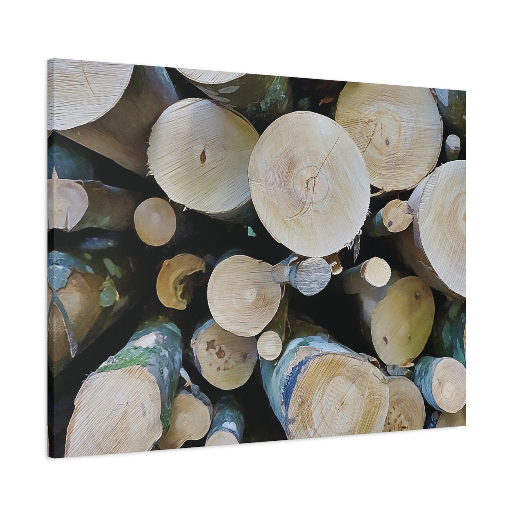 Stretched Matte Canvas - Wooden Trunks (Variant 1)