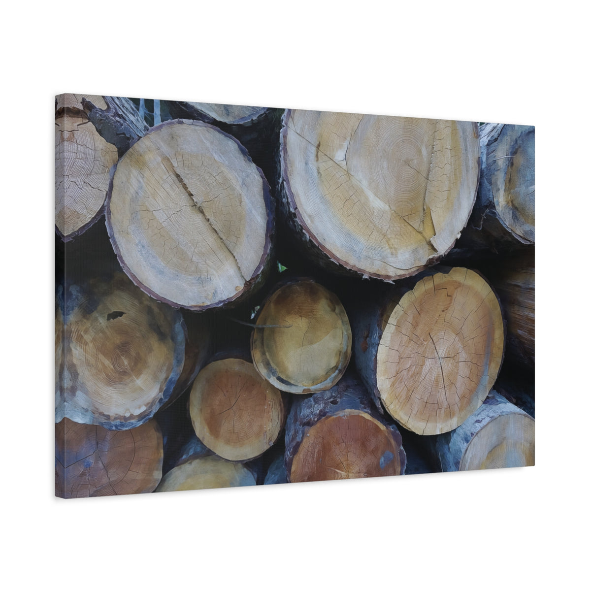 Stretched Matte Canvas - Wooden Trunks (Variant 2)