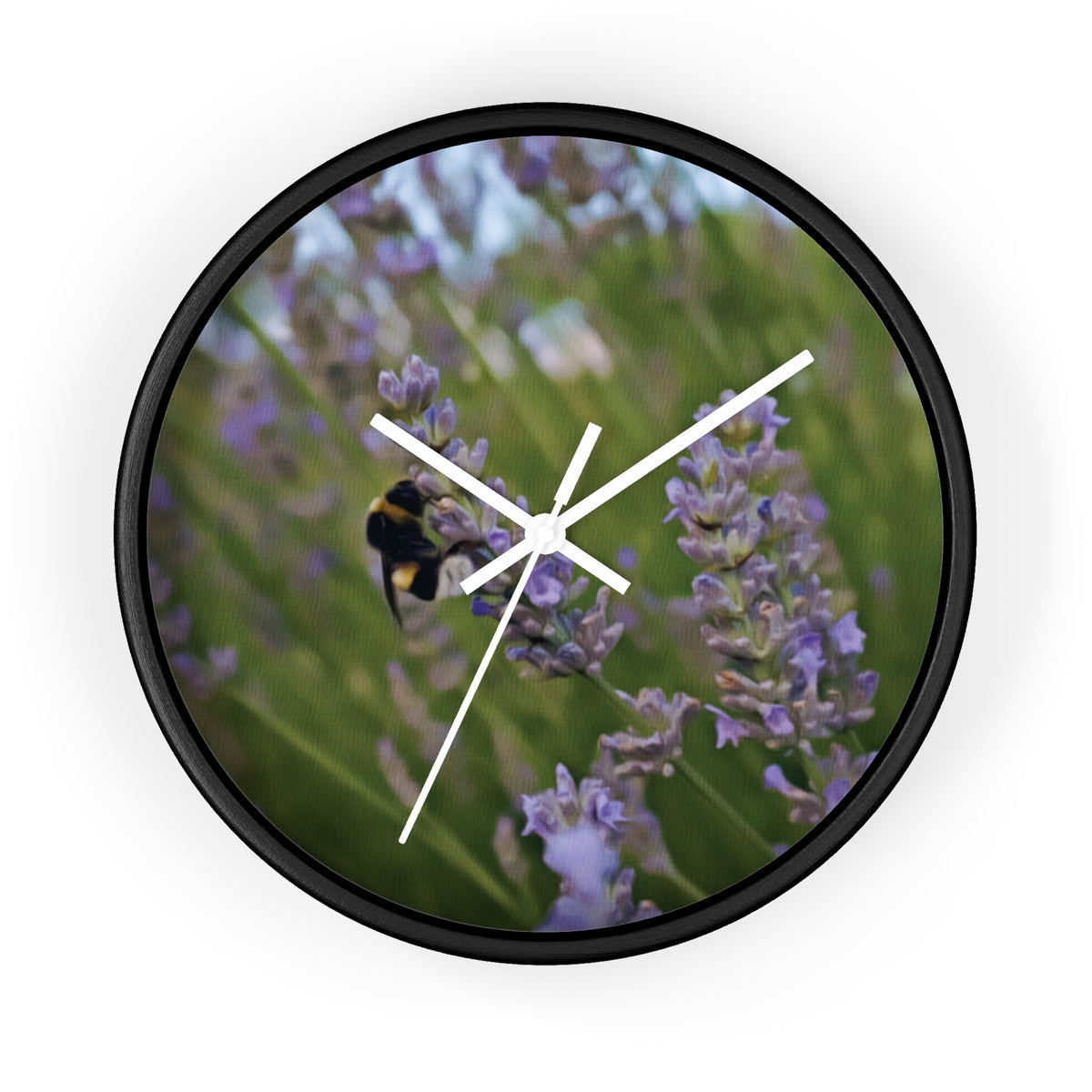 Wall Clock - Flower of Lavender with Bombus Insect (Variant 2)