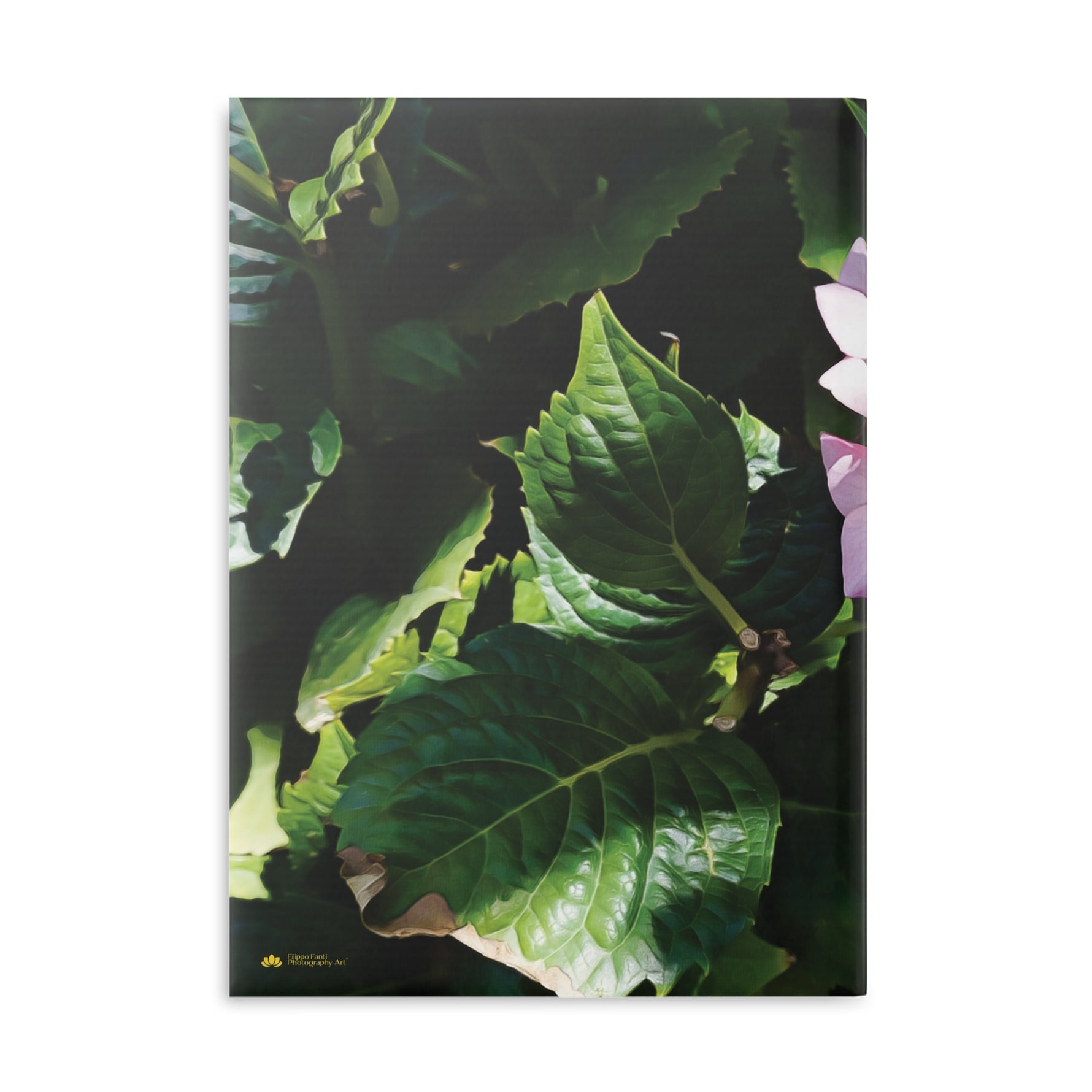 Hardcover Notebook with Puffy Covers - Flower of Ortensia/Hydrangea Macrophylla