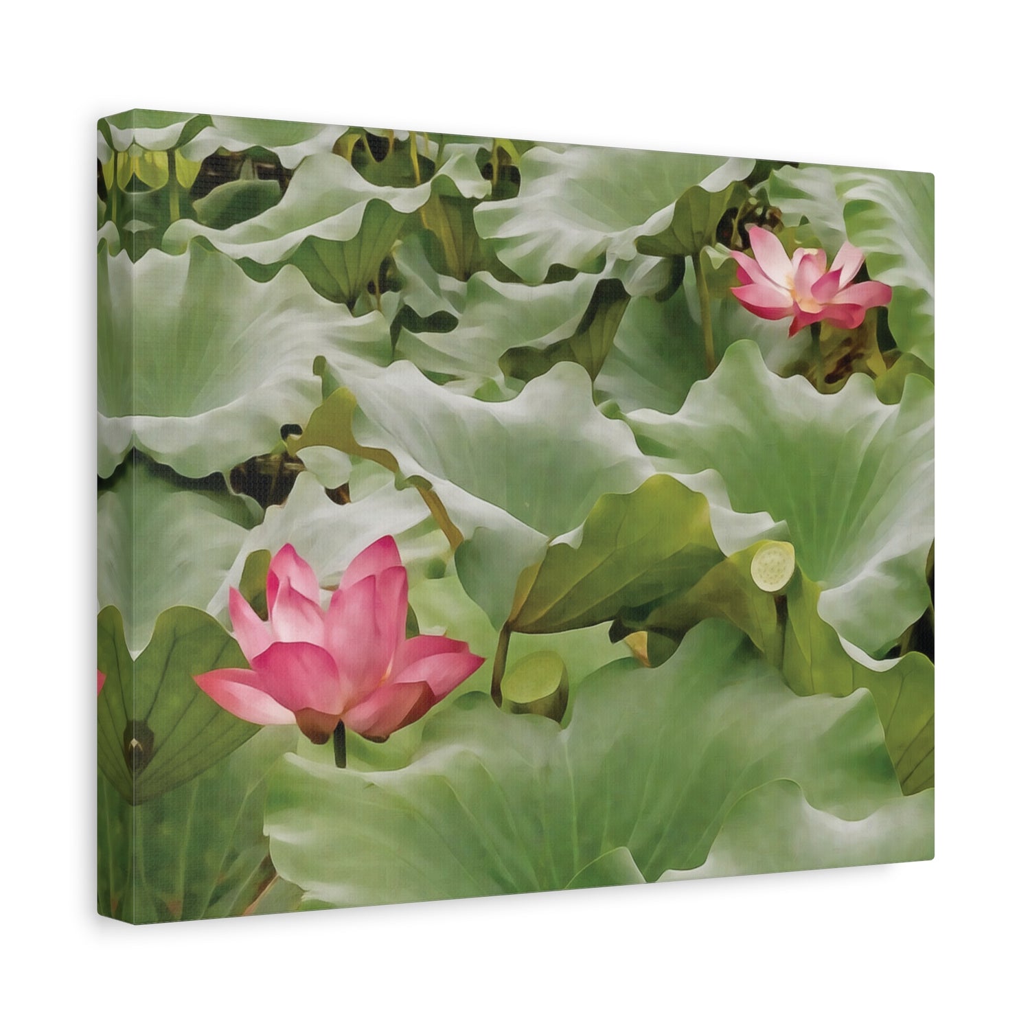 Stretched Matte Canvas - Flower of Lotus
