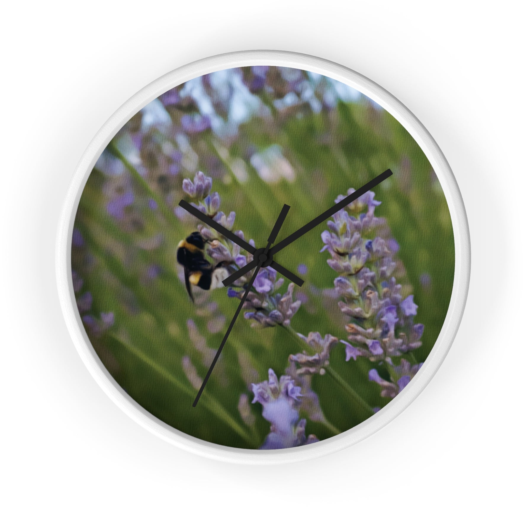 Wall Clock - Flower of Lavender with Bombus Insect (Variant 2)