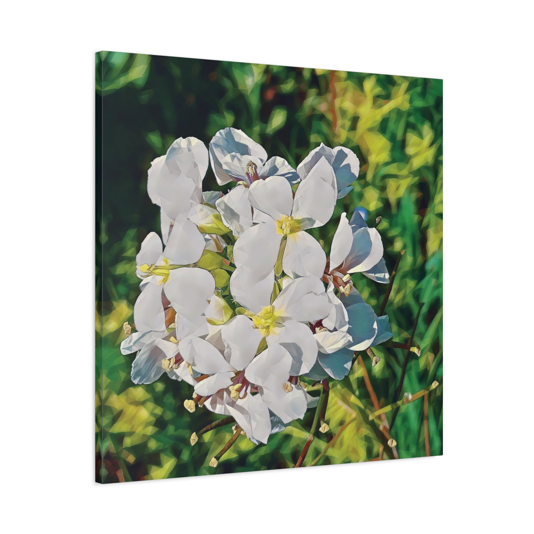 Stretched Matte Canvas - Poly Art - Flower, White