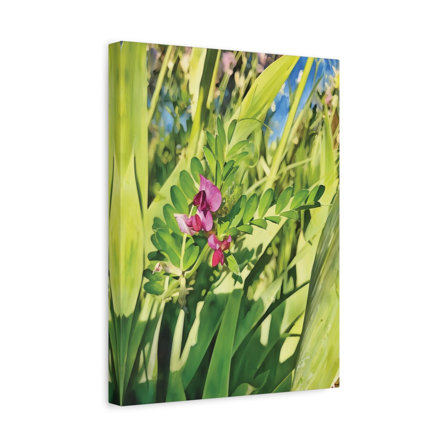 Stretched Matte Canvas - Flower of Vicia Sativa