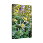 Stretched Matte Canvas - Flower of Lysimachia