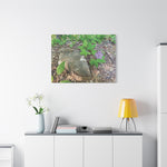 Stretched Matte Canvas - Flower of Geranium Nodosum