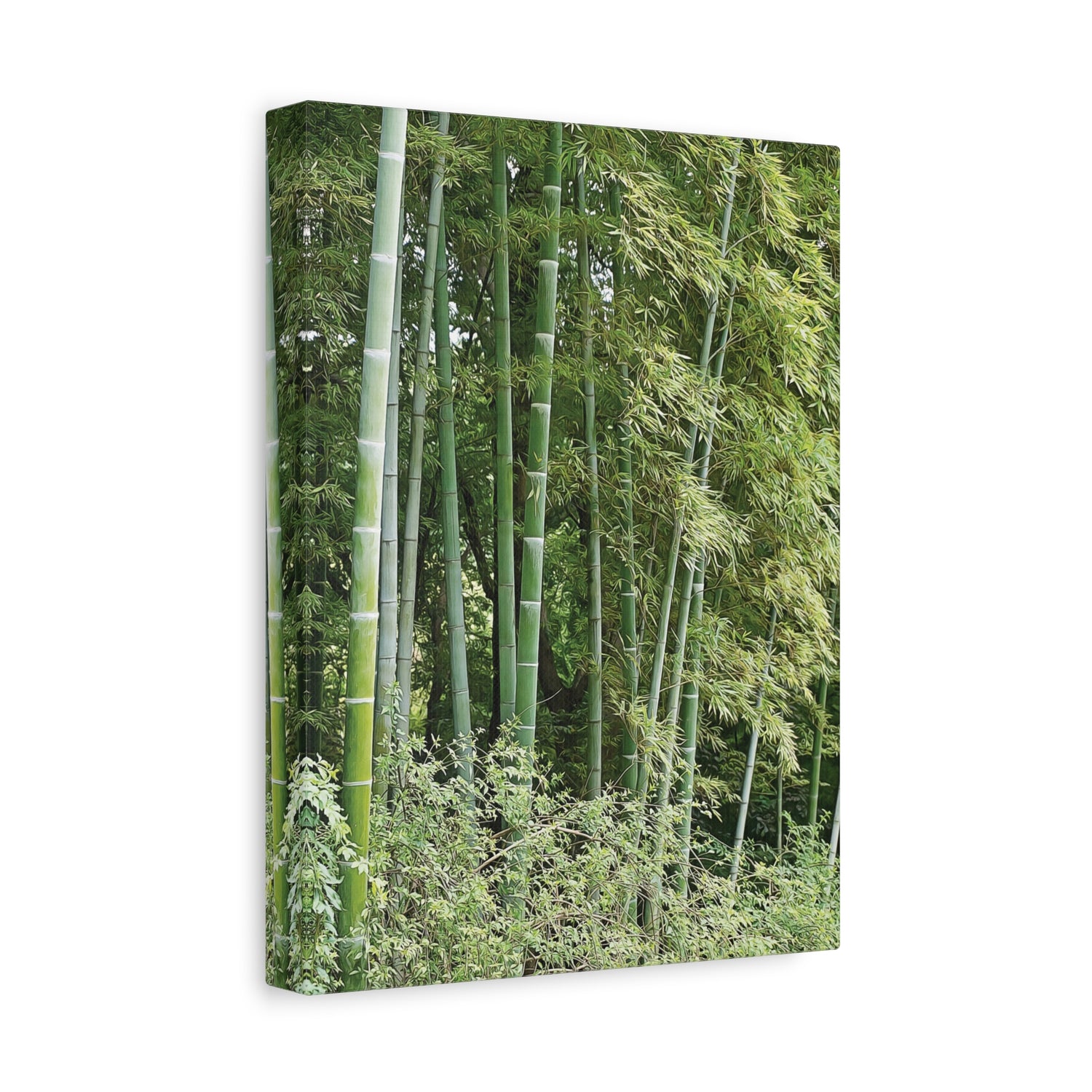 Stretched Matte Canvas - Bamboo (Variant 1)