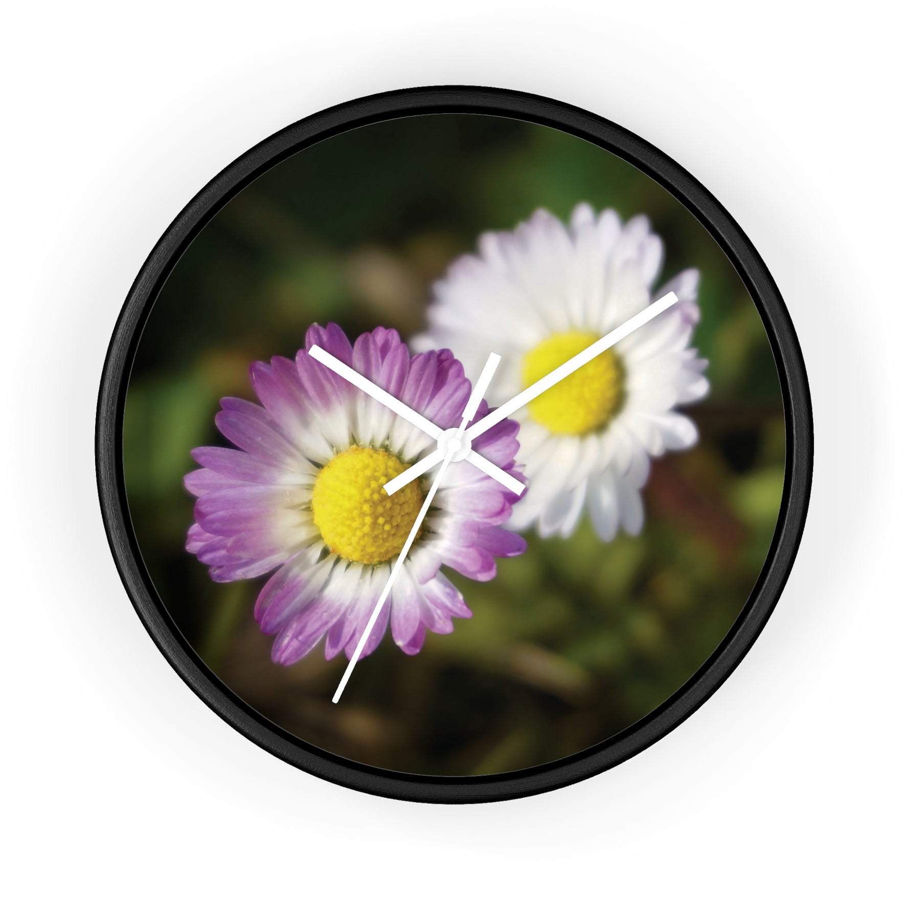 Wall Clock - Flower of Daisies