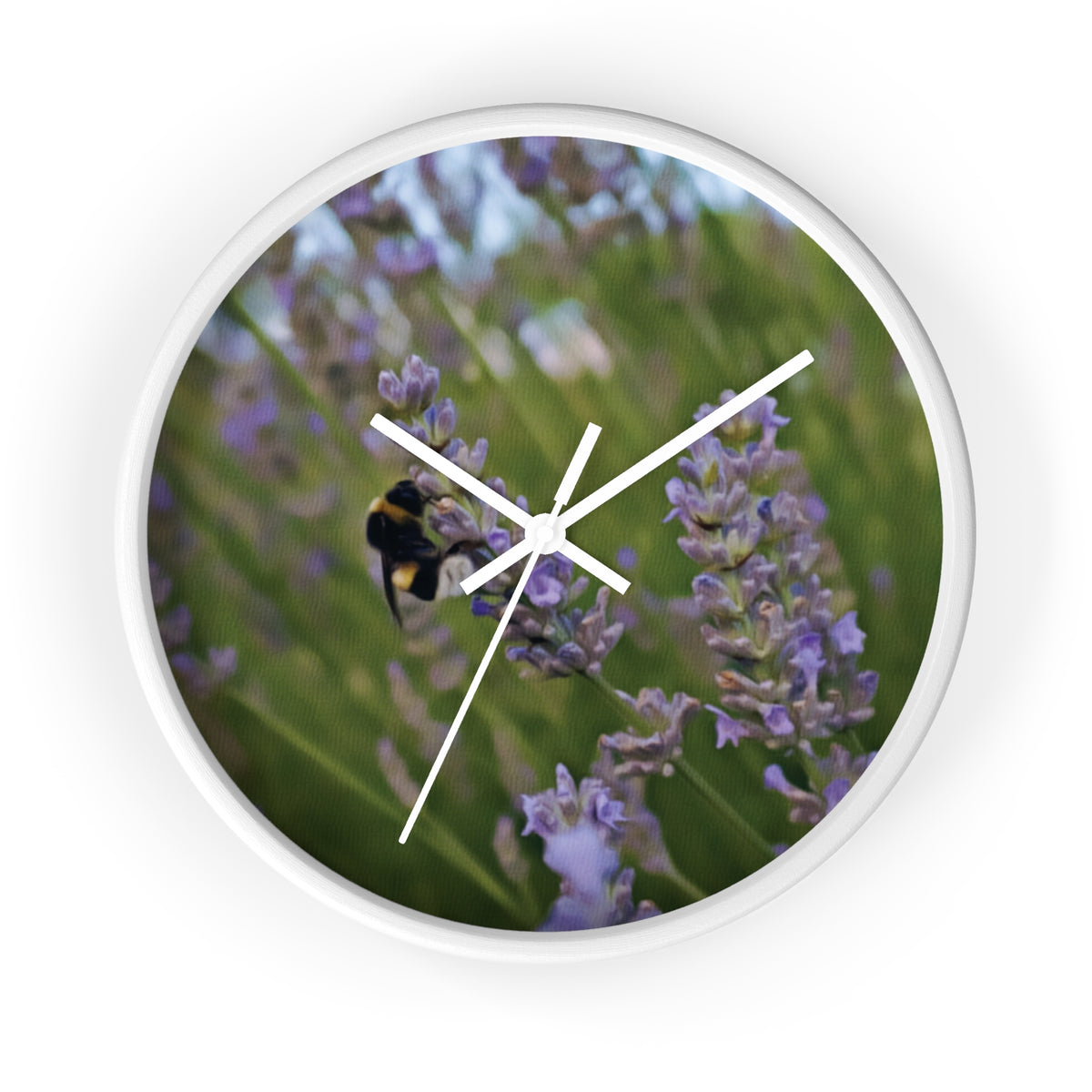 Wall Clock - Flower of Lavender with Bombus Insect (Variant 2)