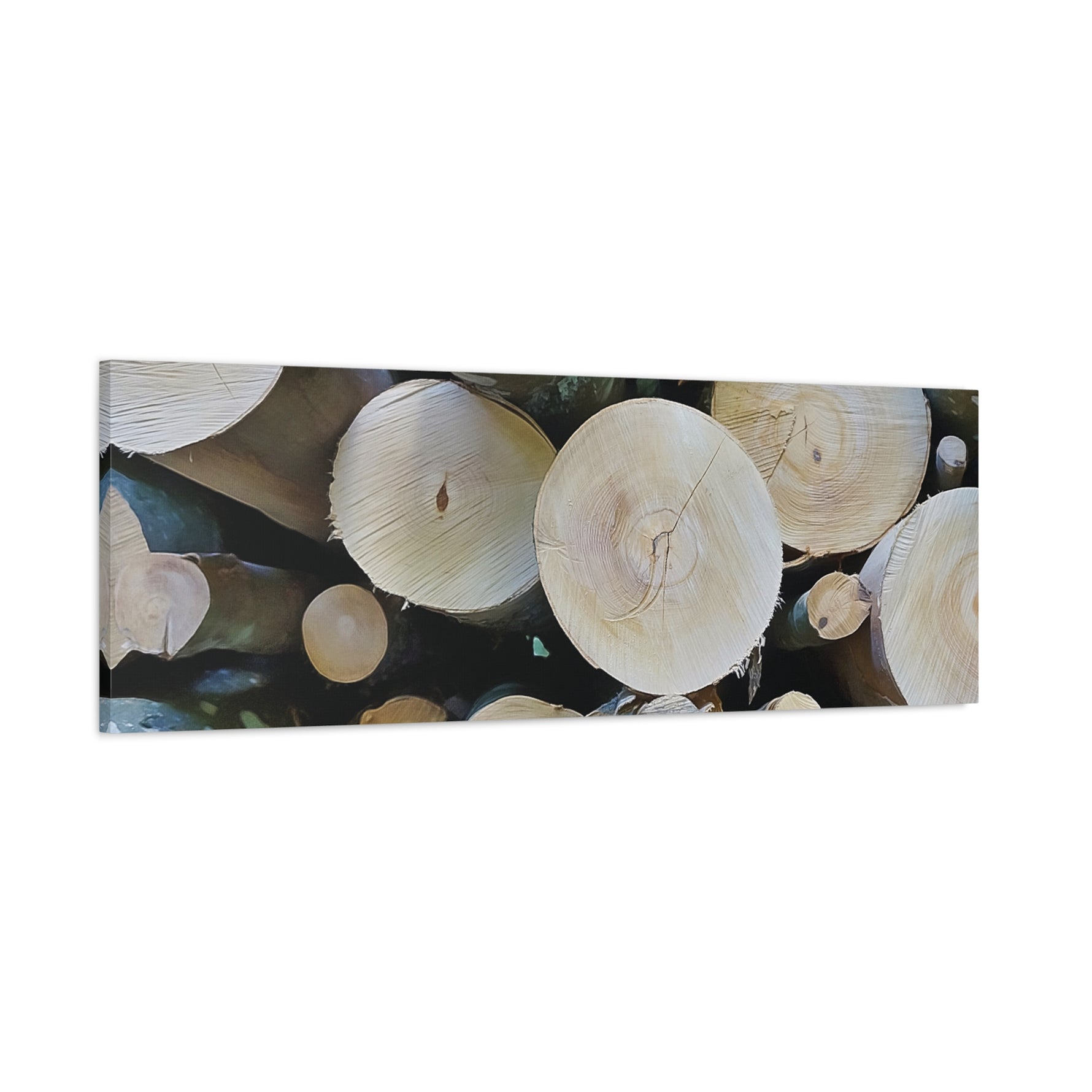 Stretched Matte Canvas - Wooden Trunks (Variant 1)