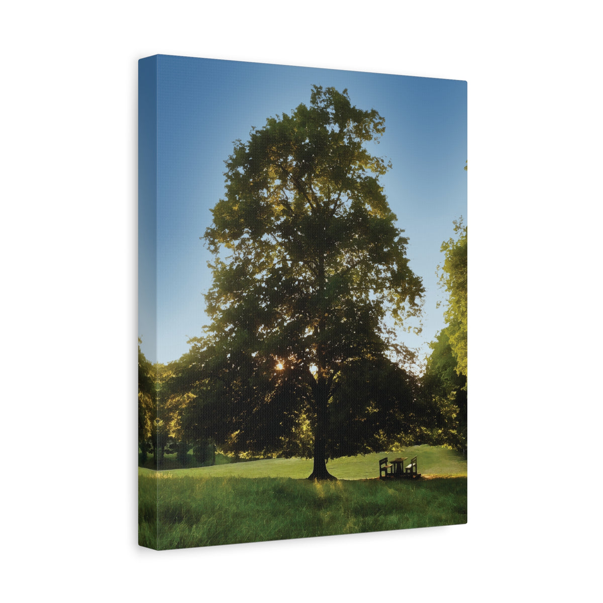 Stretched Matte Canvas - Tree in a lawn (Variant 1)