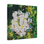 Stretched Matte Canvas - Poly Art - Flower, White