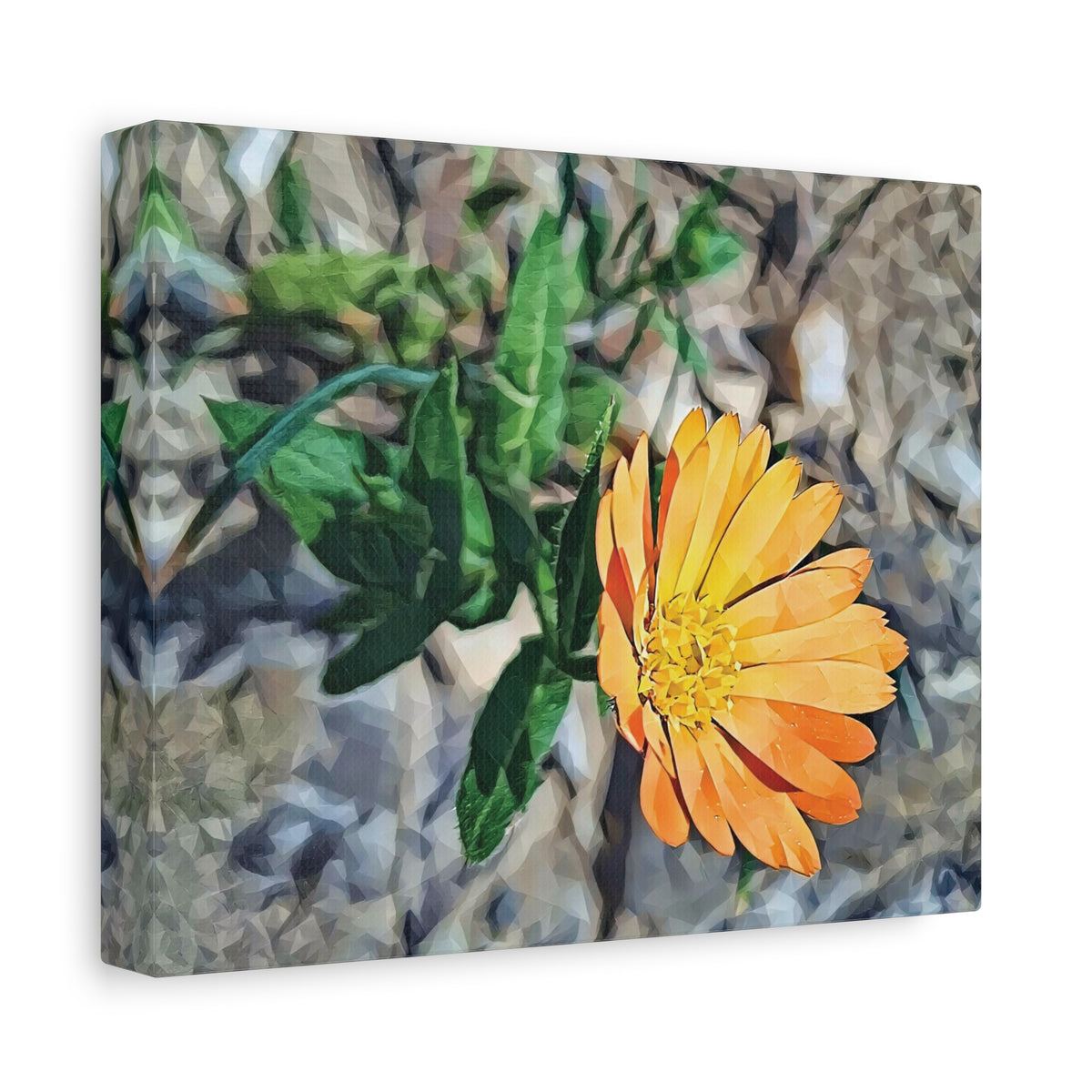 Stretched Matte Canvas - Poly Art - Flower of Calendula (Variant 2)
